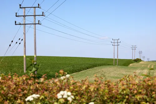 Power line fields This image is a landscape photograph capturing a rural agricultural scene in the afternoon during spring. The main subject of the image is a series of power lines supported by wooden utility poles that stretch across open fields. The fields, exhibiting varying shades of green typical of spring growth, are indicative of an agricultural environment. The clear blue sky and bright sunlight further emphasize the season and time of day. The composition displays the integration of infrastructure, specifically power lines, within a rural agricultural landscape during the spring.